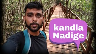 Kandla Nadige mangrove walk board Honnavar uttara kannada Karnataka [upl. by Dagmar]