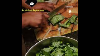 Collard Green Processing to Jazz  catshobbycorner [upl. by Mose]