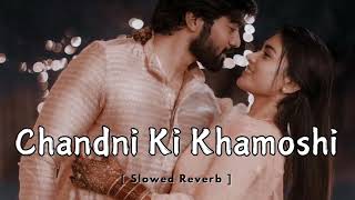 Chandni Ki Khamoshi Slowed Reverb Song  Love mashup song  MUSIC ADDA  New release song [upl. by Esyle873]