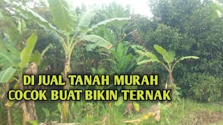 DI JUAL TANAH MURAH COCOK BUAT BIKIN TERNAK [upl. by Tandie]