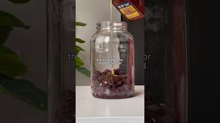 HOW TO MAKE BLACKBERRY MEAD FULL PROCESS [upl. by Anstus]