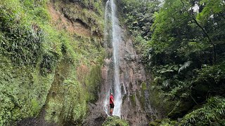 On remonte la plus belle rivière de Guadeloupe jusqu’à la source 😍🤯💚 [upl. by Ikey934]