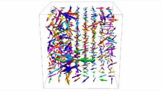 Simulation of QuarkGluon Plasma Instabilities cube [upl. by Scrope]