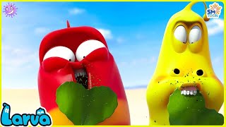 LARVA SEASON 2 EPISODE 203  304 🍟 NEST VERSION LARVA  COMICS  MINI SERIES FROM ANIMATION LARVA [upl. by Ylsew616]