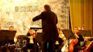 Ludwig van Beethovens Symphony No 2 in D major Op 36 mvt 4 [upl. by Anassor]