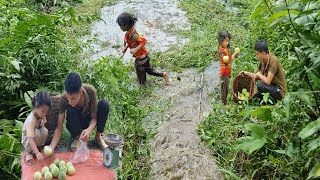 Terrifying The daughter accidentally flooded the garden Father and son harvest melons to sell [upl. by Yaffit394]