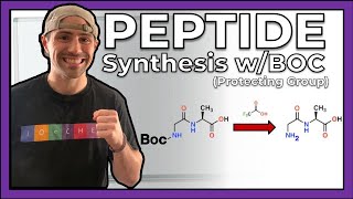 Peptide Synthesis with the Boc Protecting Group [upl. by Eninaj325]