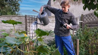 ASMR in a Vegetable Garden watering sounds [upl. by Peder]