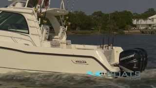 Boston Whaler 345 Conquest Fishing Boat Review  Performance Test [upl. by Enirahtac]