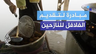 لـ120 عائلة تقديم “الفراشيح والفلافل” للنازحين في مواصي القرارة بقطاع غزة [upl. by Alihet]