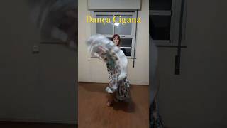 Dança Cigana  Coração Cigano 1 [upl. by Ahsaenat345]