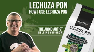 HOW TO USE LECHUZA PON  potting plants in pon [upl. by Stephanie]