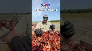 5 Shades Of Crawfish We See On The Farm [upl. by Melodie]