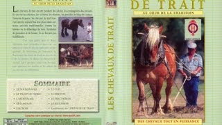 Lutilisation des chevaux de traits et traditions  Documentaire animalier [upl. by Aikan]