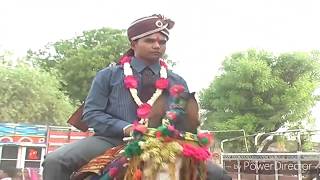 Marriage Horse Dance Gujarati Song Dj Full live Varghodo video [upl. by Ycrep]