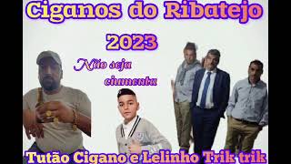 CIGANOS DO RIBATEJO 2023 NÃO SEJA CIUMENTA TUTÃO CIGANO E LELINHO TRIK TRIKrumbaportuguesa [upl. by Laura]