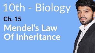 10th Class Biology Chapter 15  Mendels Law of Inheritance  Class 10 Biology Chapter 15 [upl. by Kirkwood227]