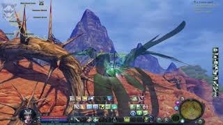 aion classic Level 16 A Coin in Hand elyos [upl. by Valaree]