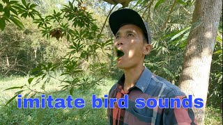 entertainment  imitating bird sounds  nguyen dien trung [upl. by Ellevehc]