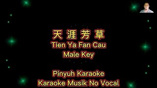 Tien Ya Fan Cau  天涯芳草  Karaoke  Musik No Vocal [upl. by Eyanaj]