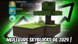 Les MEILLEURS SERVEURS SKYBLOCKS de 2024 [upl. by Hermann]