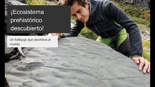 ¡Increíble hallazgo en los Alpes Italianos Ecosistema prehistórico descubierto [upl. by Asiluj]