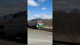 Amtrak amtrak amtraktrain fasttrains fast shorts speed honk newengland [upl. by Mayhew]