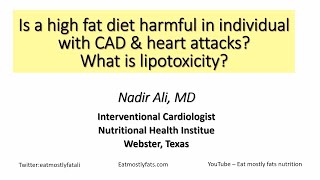 Dr Nadir Ali presentation High Fat Diets Heart Attacks and Lipotoxicity [upl. by Eylk]