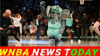 Libertys Mascot vs Lynx Players Dad in Epic WNBA Showdown [upl. by Adiahs]