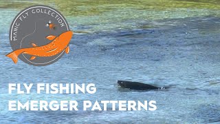 Fly Fishing Emerger Patterns  Manic Fly Collection [upl. by Farver]