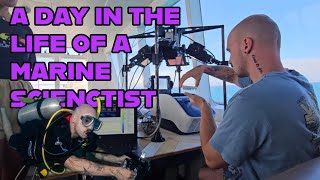 A Day In the Life of a Marine Scientist [upl. by Ardussi911]