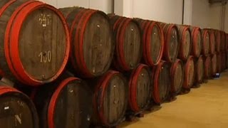 Les griottes sont enfin arrivées Vive la kriek [upl. by Gert]