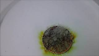 Coin in peracetic acid reaction [upl. by Disini]