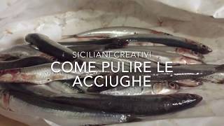 Siciliani Creativi  Come pulire le acciughe tutorial  How to clean anchovies [upl. by Hewett559]