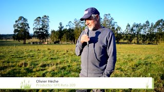 Introducción de Bromus auleticus en cobertura sobre campo natural [upl. by Verene]