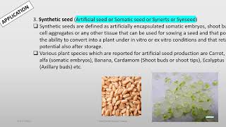 Application of tissue culture Oct 17 2024 [upl. by Anitnegra28]