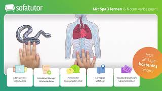 Zentrales und peripheres Nervensystem einfach erklärt – Biologie 7  10 Klasse [upl. by Nahsar]