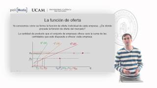 Microeconomía II  La competencia perfecta 10  Alfonso Rosa [upl. by Suirtimid311]