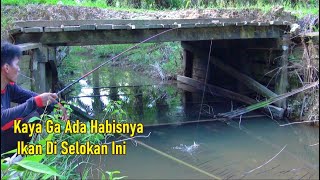 Ga Ada Habisnya Ikan Di Selokan Kecil Ini [upl. by Valentia]