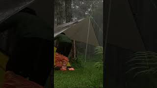 solo camping in heavy rain  relaxing rain sounds shorts solocamping [upl. by Zehc]