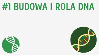 Budowa i rola DNA 1  Genetyka [upl. by Noswad]