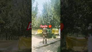 Kashmir Apply Garden travel tourism tour apple garden kashmir alahmad [upl. by Lorilee]