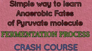 Fate of pyruvic acid alcoholic and lactic acid fermentation anaerobic fate [upl. by Laurie45]