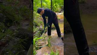 Finding Gold Using A DIY Hand Dredge [upl. by Gabriellia110]