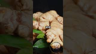 What is a Ginger amp Turmeric Shot and What Are the Benefits [upl. by Accemahs]