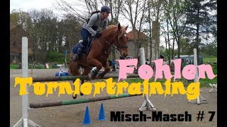 Turniertraining Fohlen und andere Babys  MischMasch 7 [upl. by Havot]