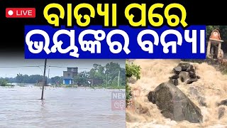 Live ବାତ୍ୟା ପରେ ଭୟଙ୍କର ବନ୍ୟା Heavy Rainfall Alert  Cyclone Dana Landfall  IMD  Odia News [upl. by Airalav]