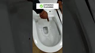 Parryware Berry Single Piece Commode  Rimless Toilet Seat 4D Water Flow Syphonic Flushing shorts [upl. by Tiphanie]