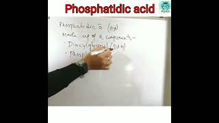 Phosphatidic Acid PA [upl. by Gibun335]