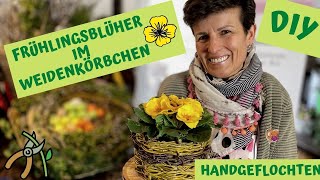 KORBFLECHTEN für Anfänger  Flechtkorb mit Blühpflanze einfach selber gemacht [upl. by Bush438]